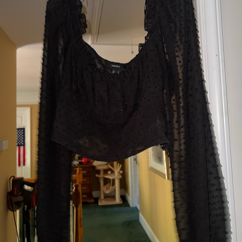 Forever 21 Black Sheer Crop Top